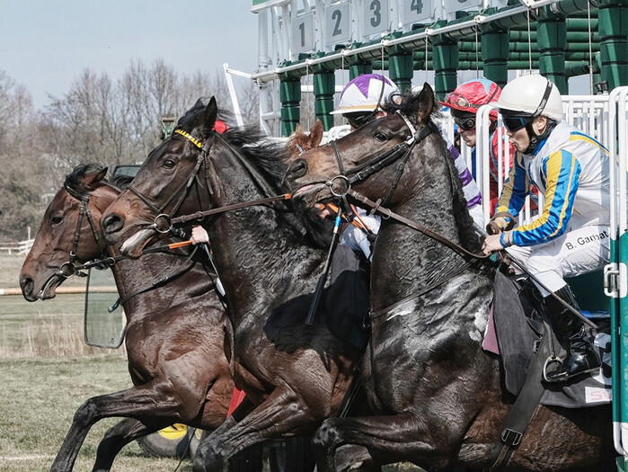 Horse racings.jpg