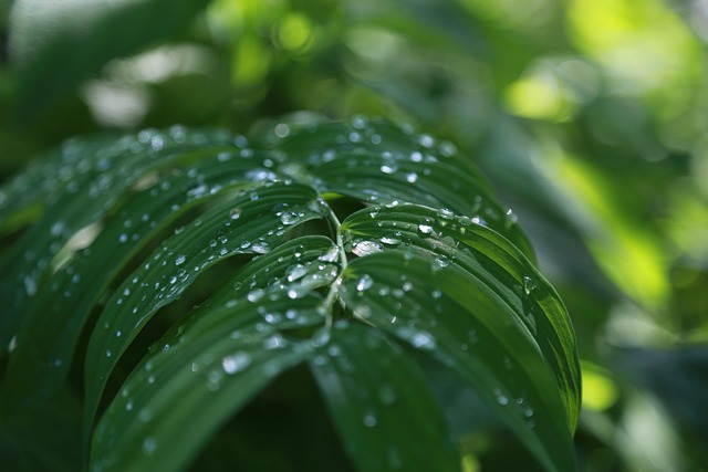 온라인 쇼핑에서 가격과 결제 조건을 비교하는 자료사진이다. (사진=pixabay)